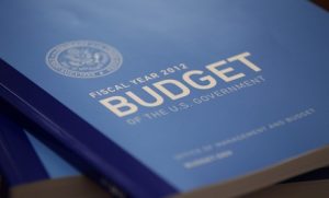 FederalBudgetBook